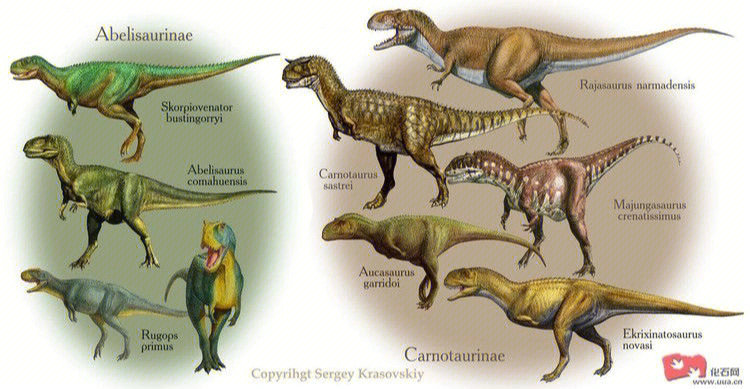 杂食恐龙的资料图片