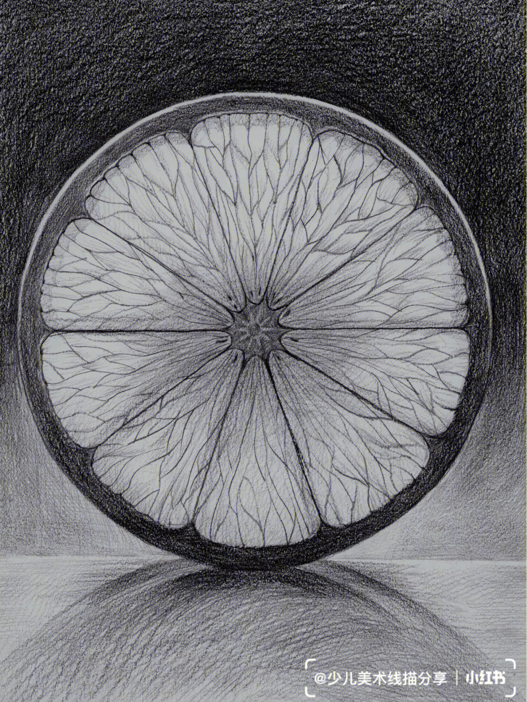 水果解剖创意素描设计图片