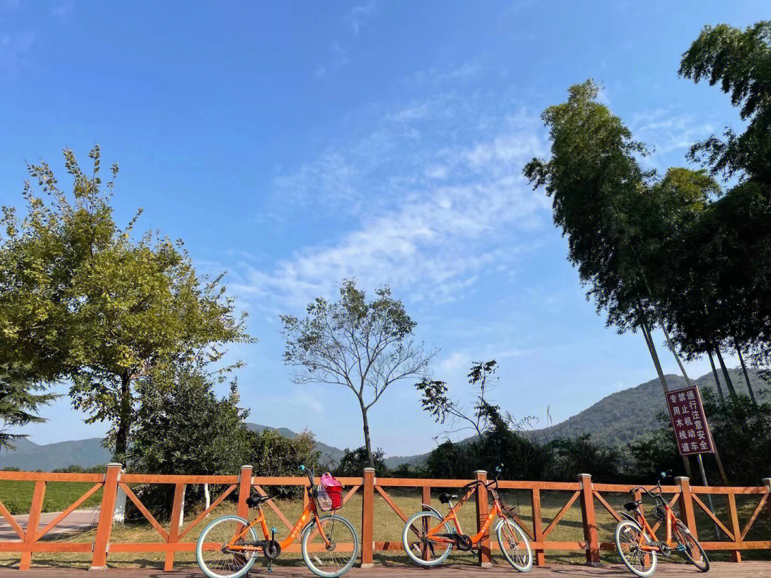 龙池山自行车公园攻略图片