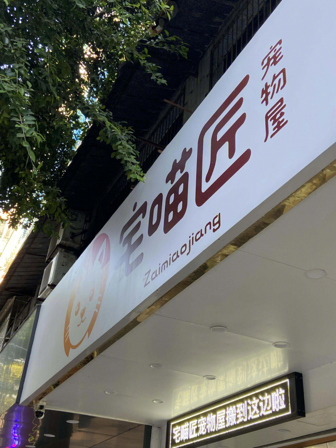 宅喵匠汕头也有全程透明的宠物洗护店啦