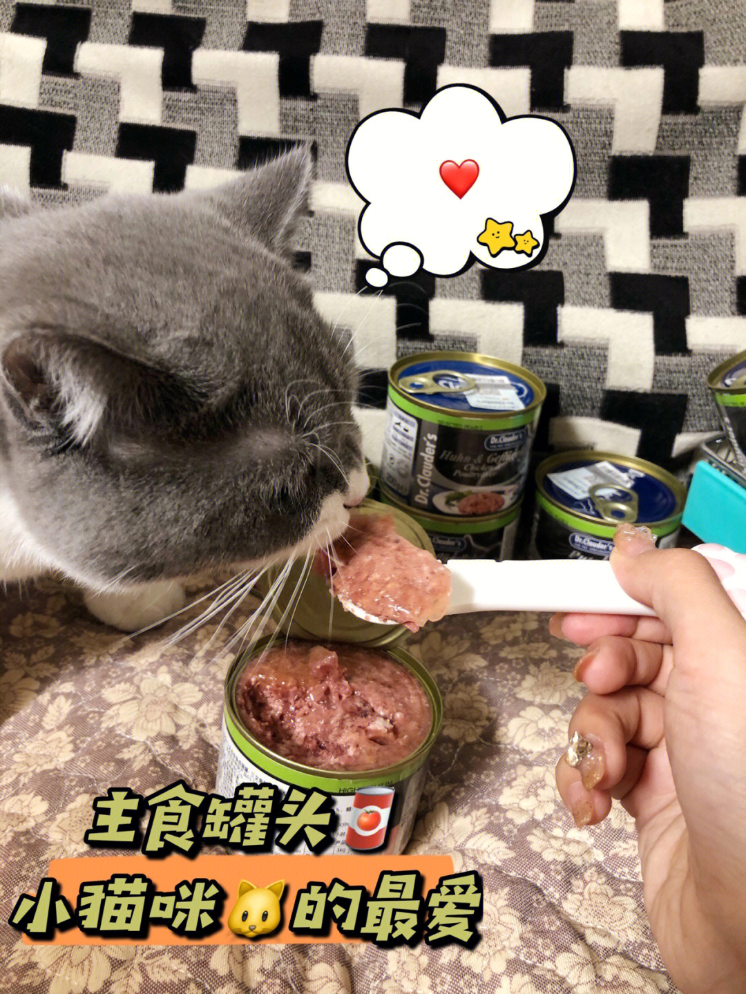 我要吃肉肉克劳德医生进口猫咪主食罐头