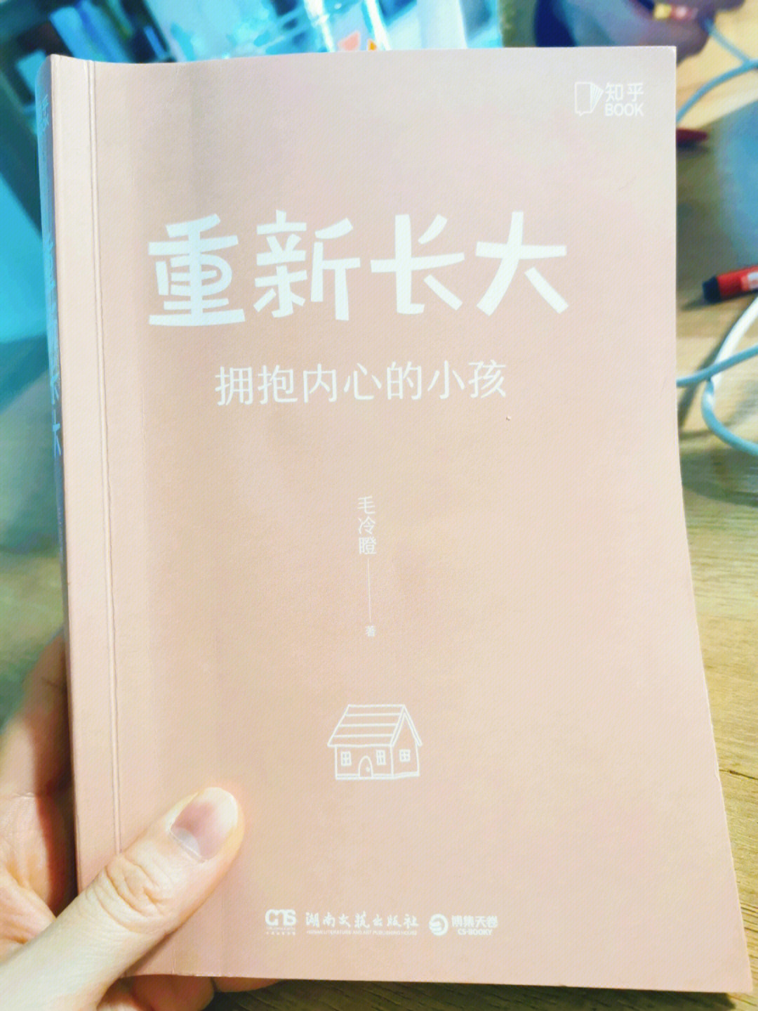 许廷铿重新长大图片