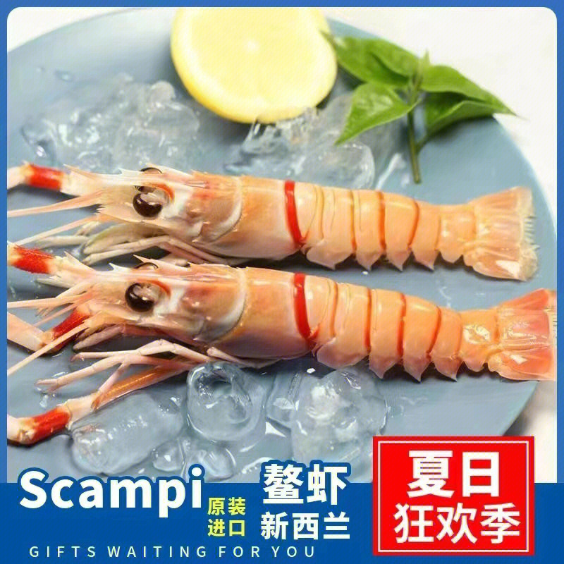 上海新西兰鳌虾断货图片