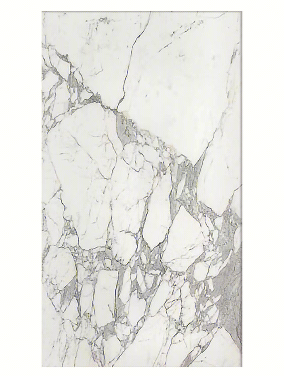 石例丨鱼肚白arabescatocorchia
