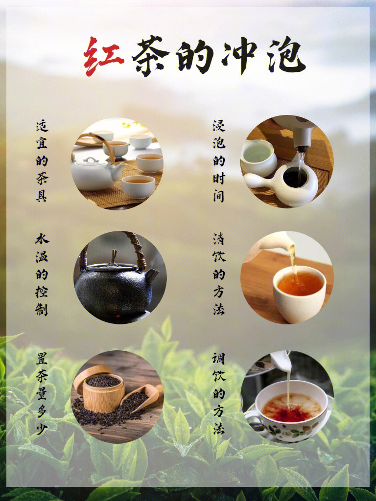 红茶茶艺冲泡步骤图片