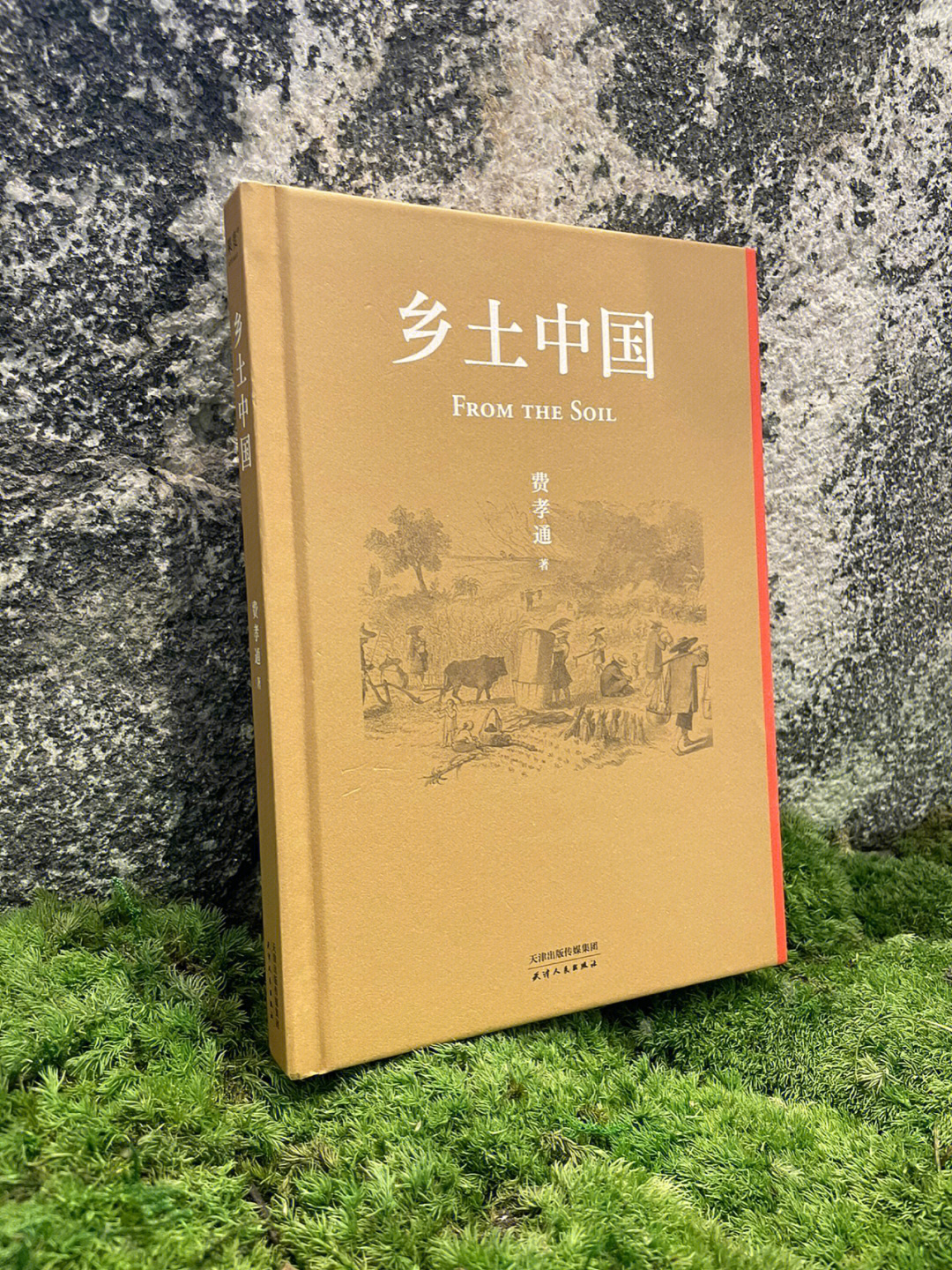 颐和园影评 7万字 云图片