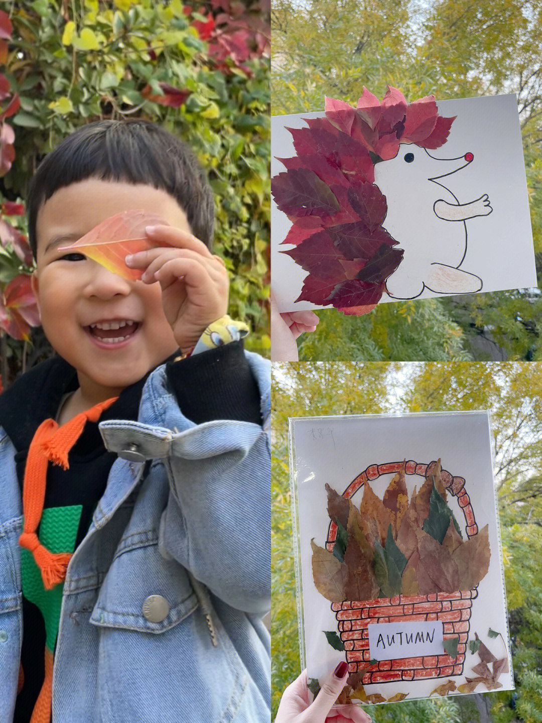 秋季树叶贴画get有趣的亲子互动手工作业
