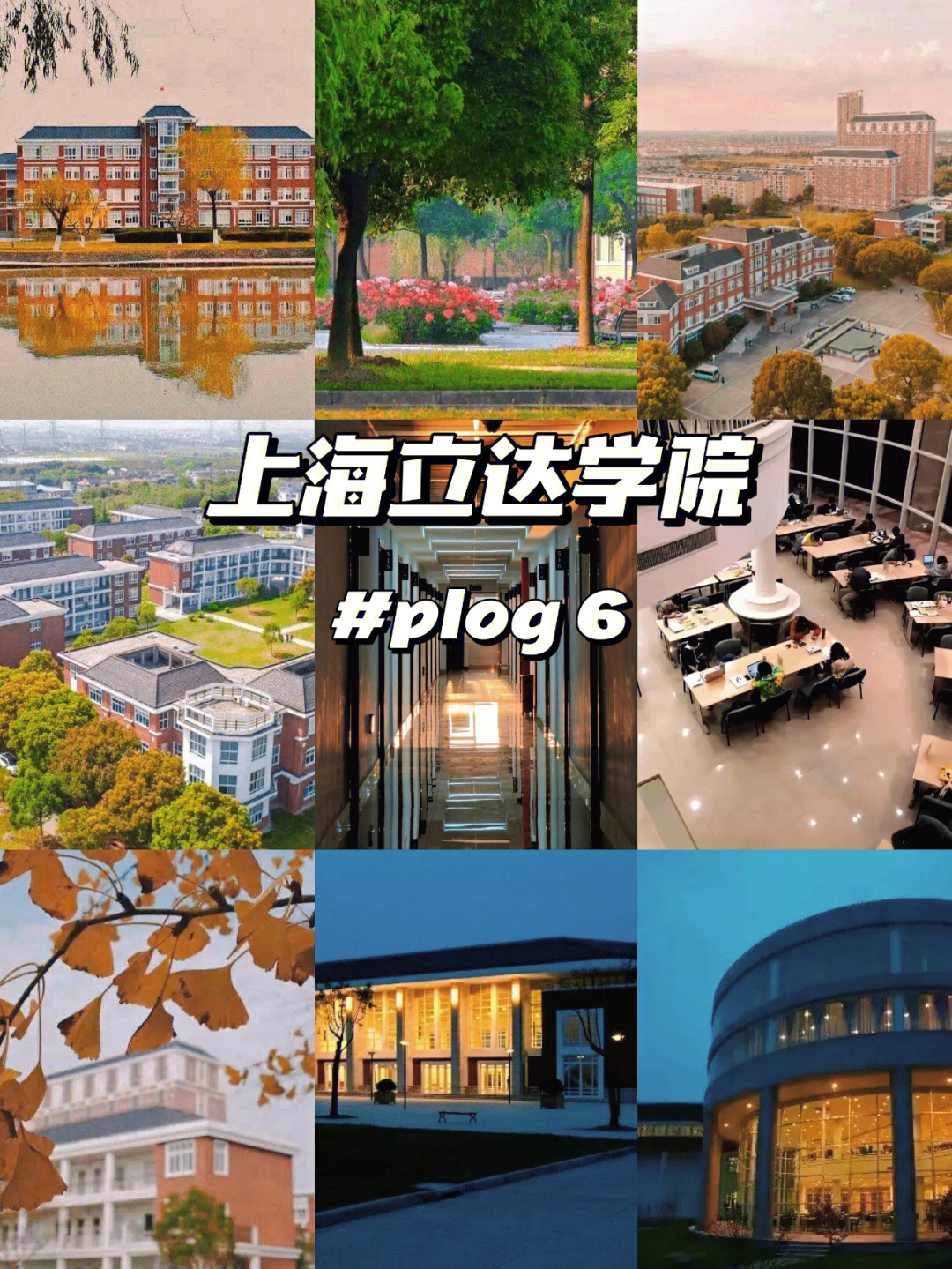 【上海立达学院plog】在立达读书是什么体验