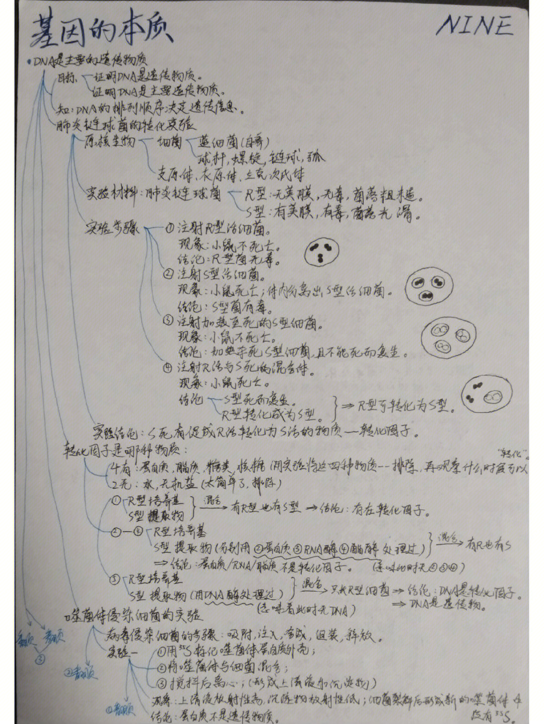 新高考生物必修二第三章思维导图