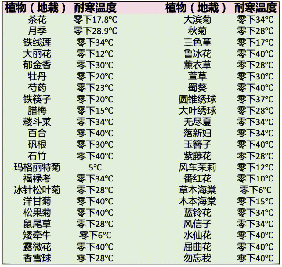 耐寒区域划分图片