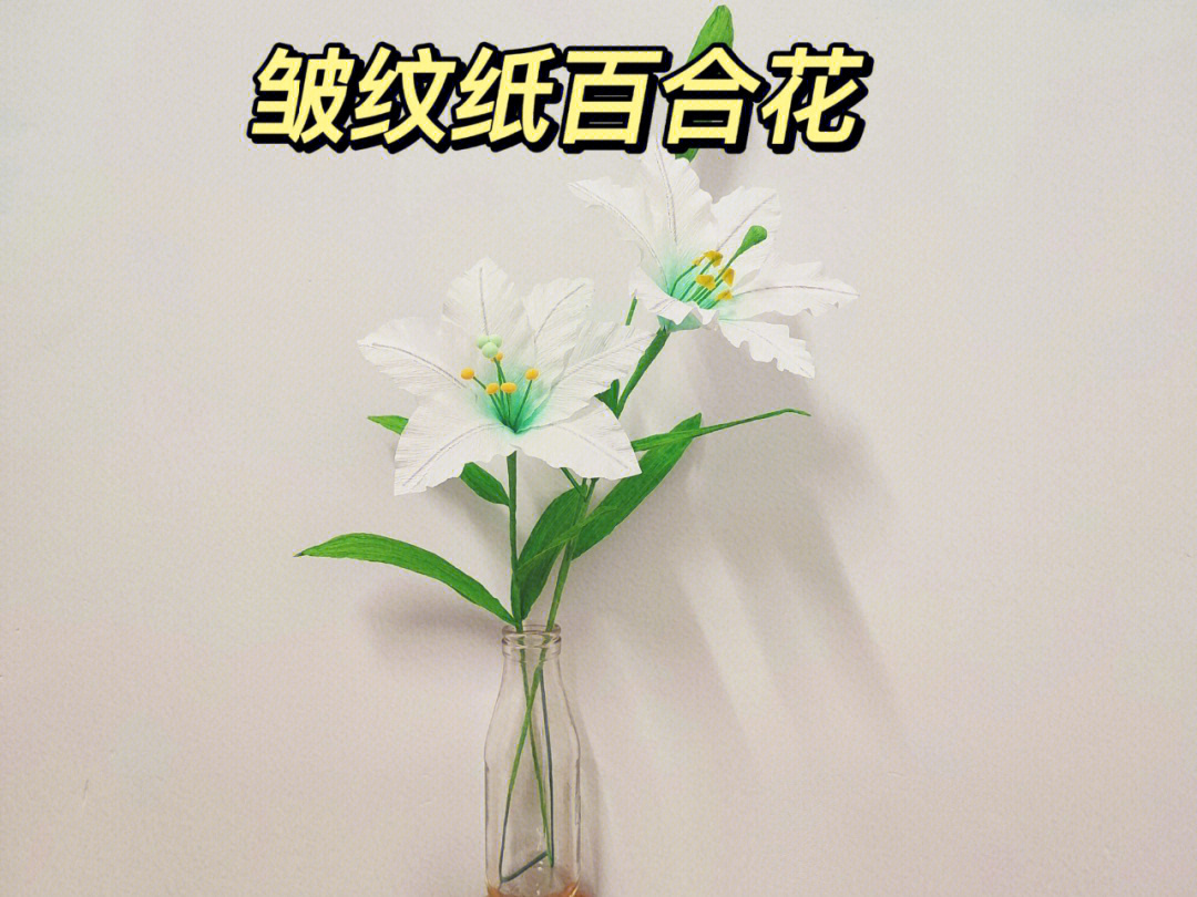 皱纹纸白玉兰花图片