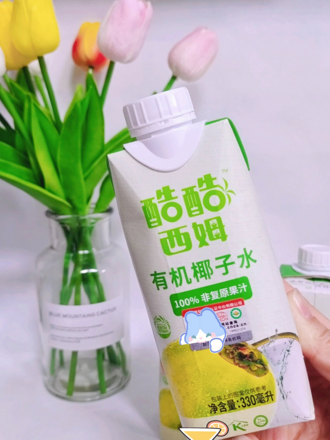秋冬聚餐必备清爽饮品椰子水