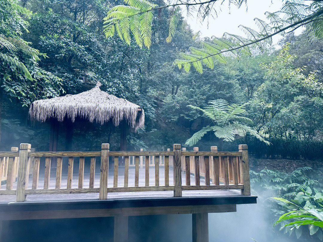 厦门雨林世界图片