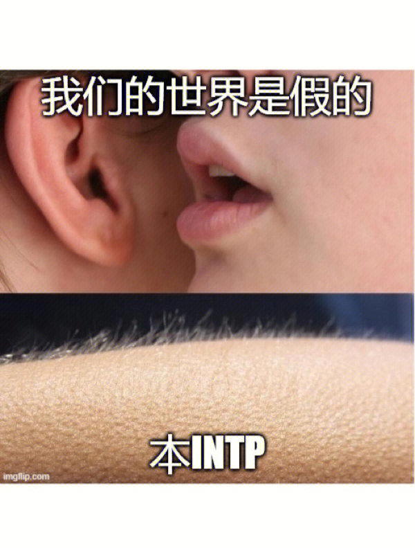 intpmeme图片