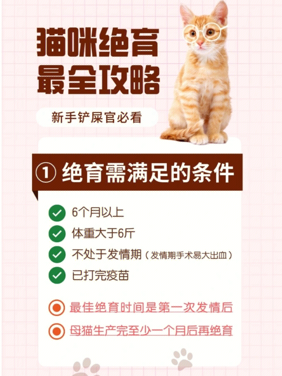 猫咪为什么要绝育图片