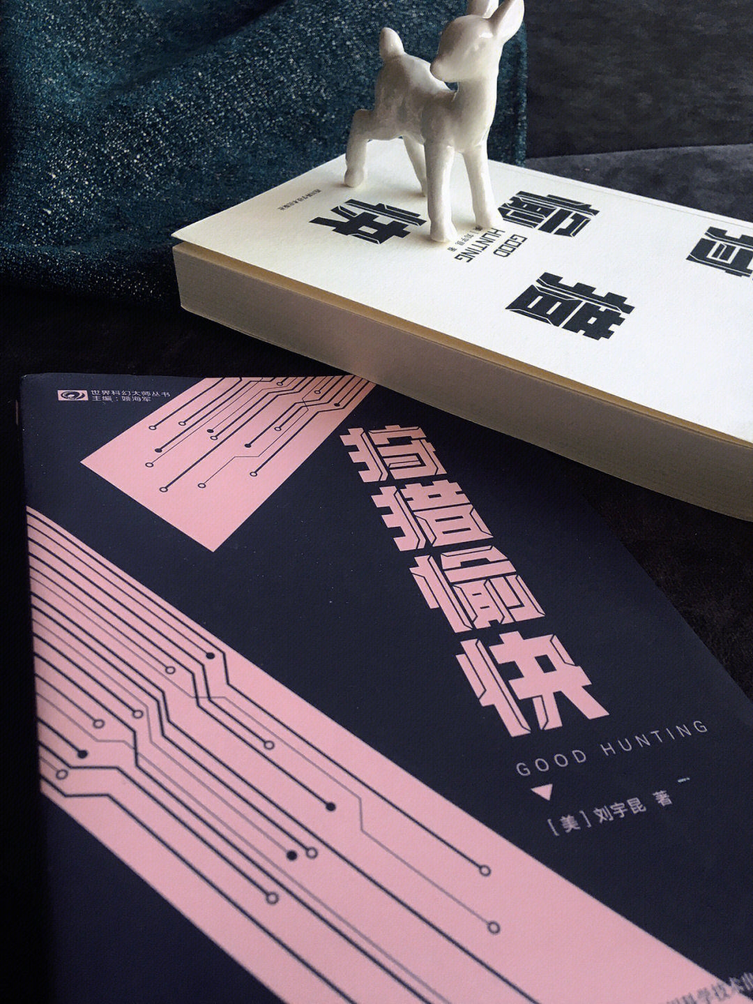 90《狩猎愉快—刘宇昆—四川科学技术出版社95关于作者:多次