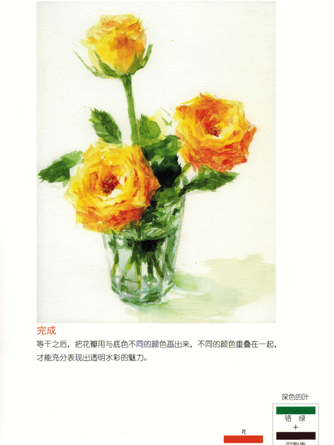 永山裕子玫瑰花卉水彩步骤图背景色讲解