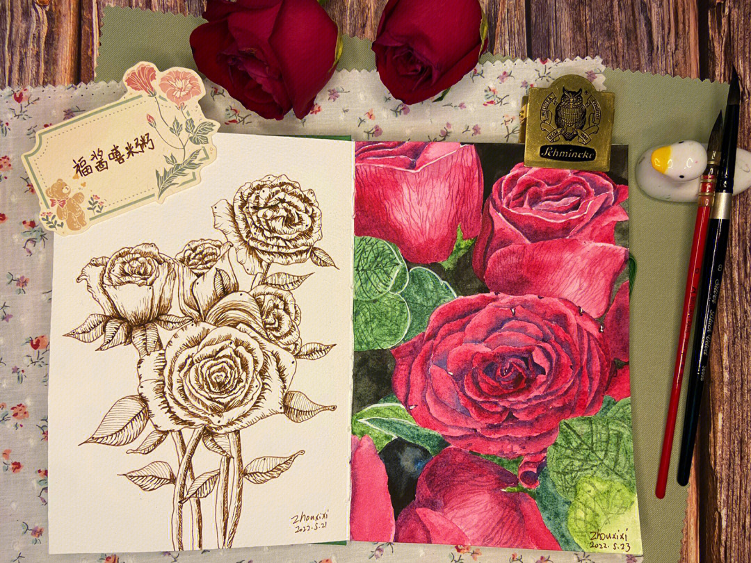 玫瑰花植物记录卡图片