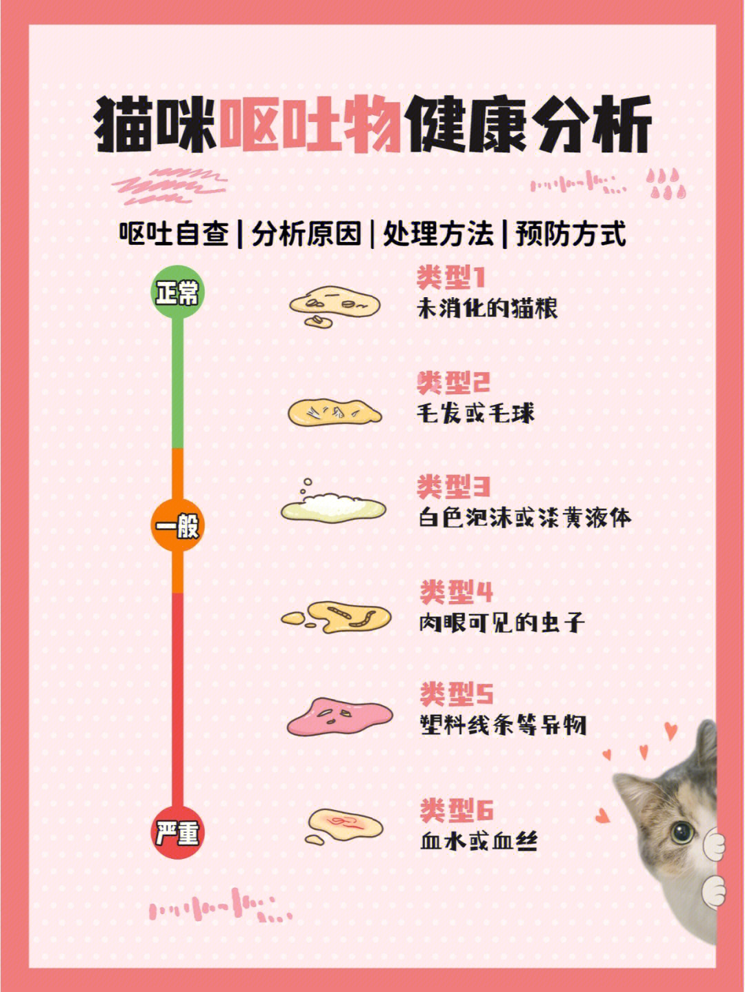 猫瘟呕吐物图片对照表图片