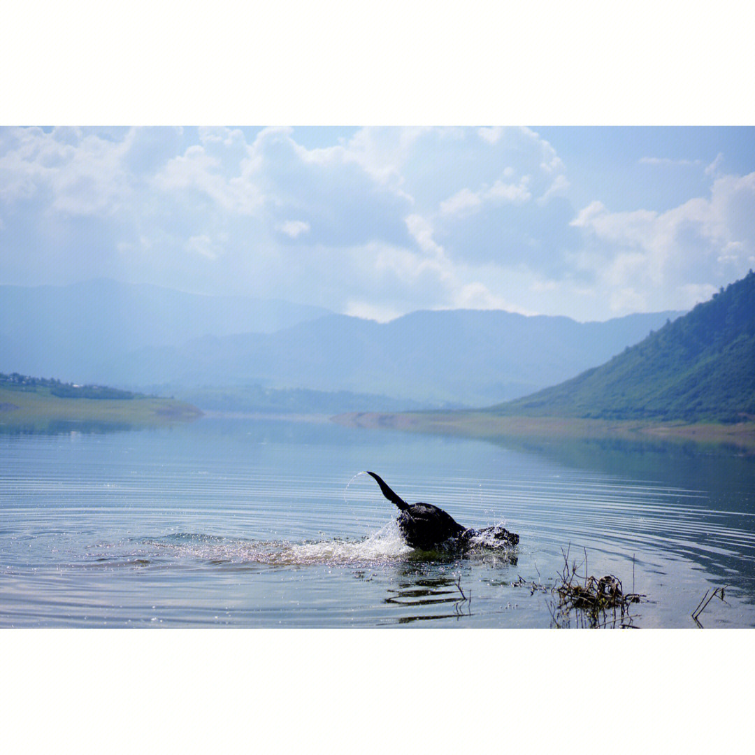 冶勒湖旅游攻略图片