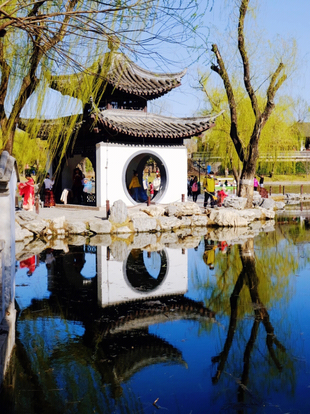 陶然亭公园北京的春天