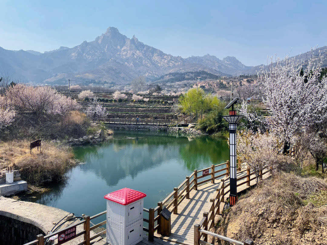 崂山庙石村图片图片