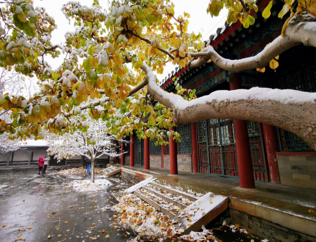 颐和园雪景