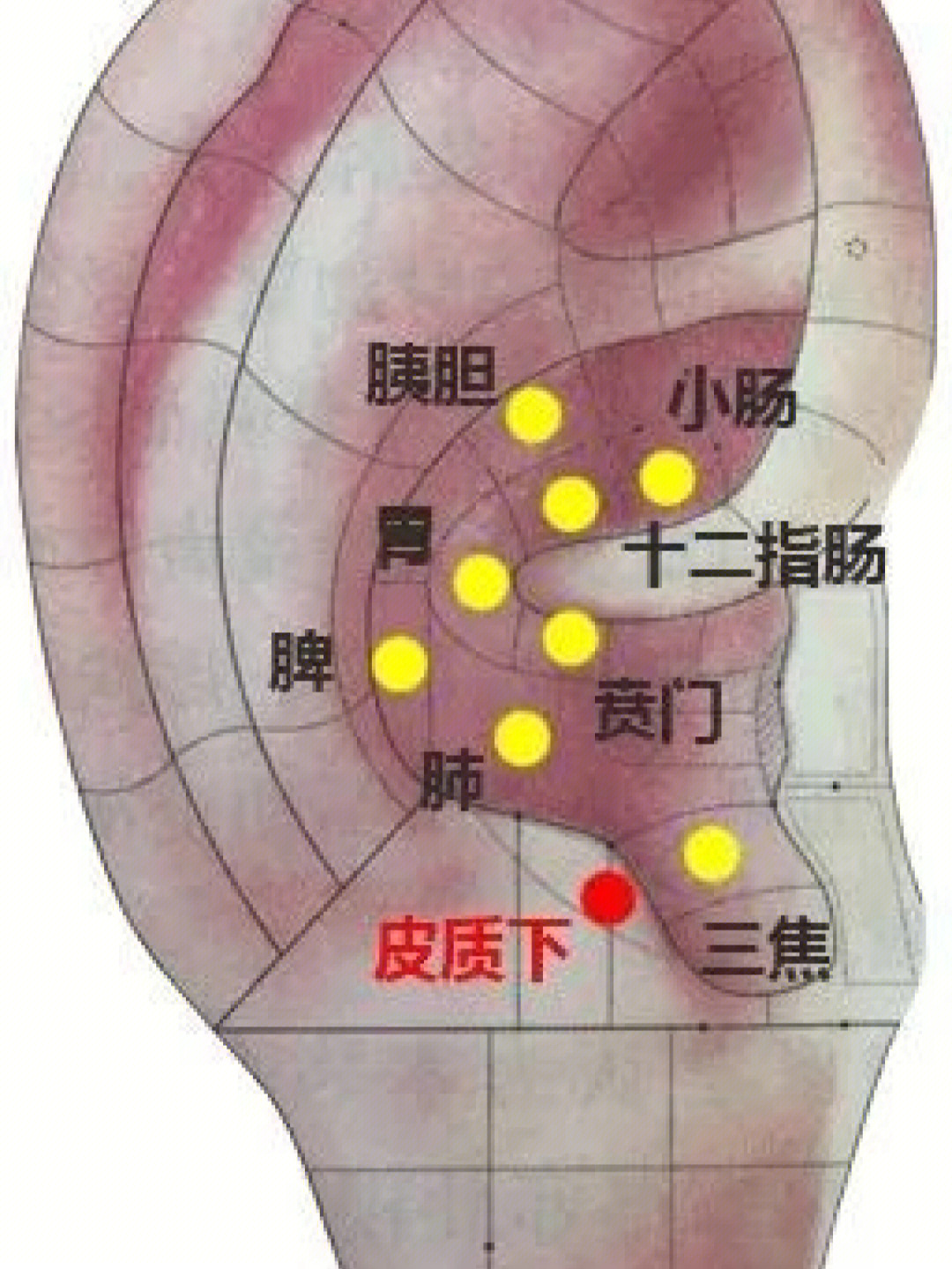 揉耳朵打通全身经络图片