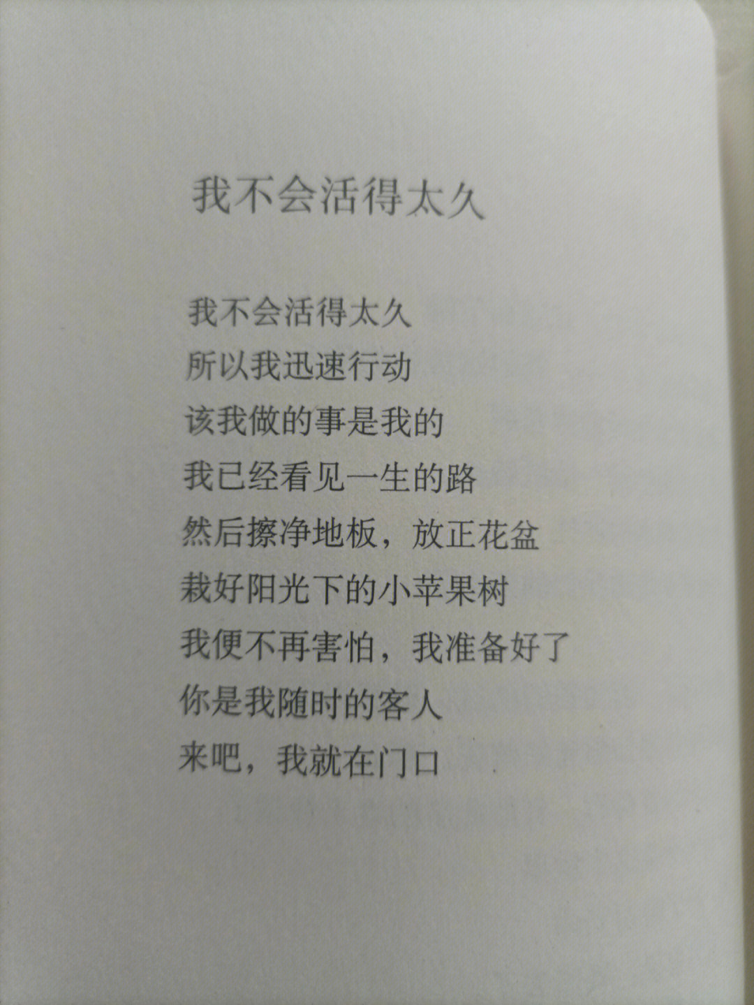 海桑诗人简介图片