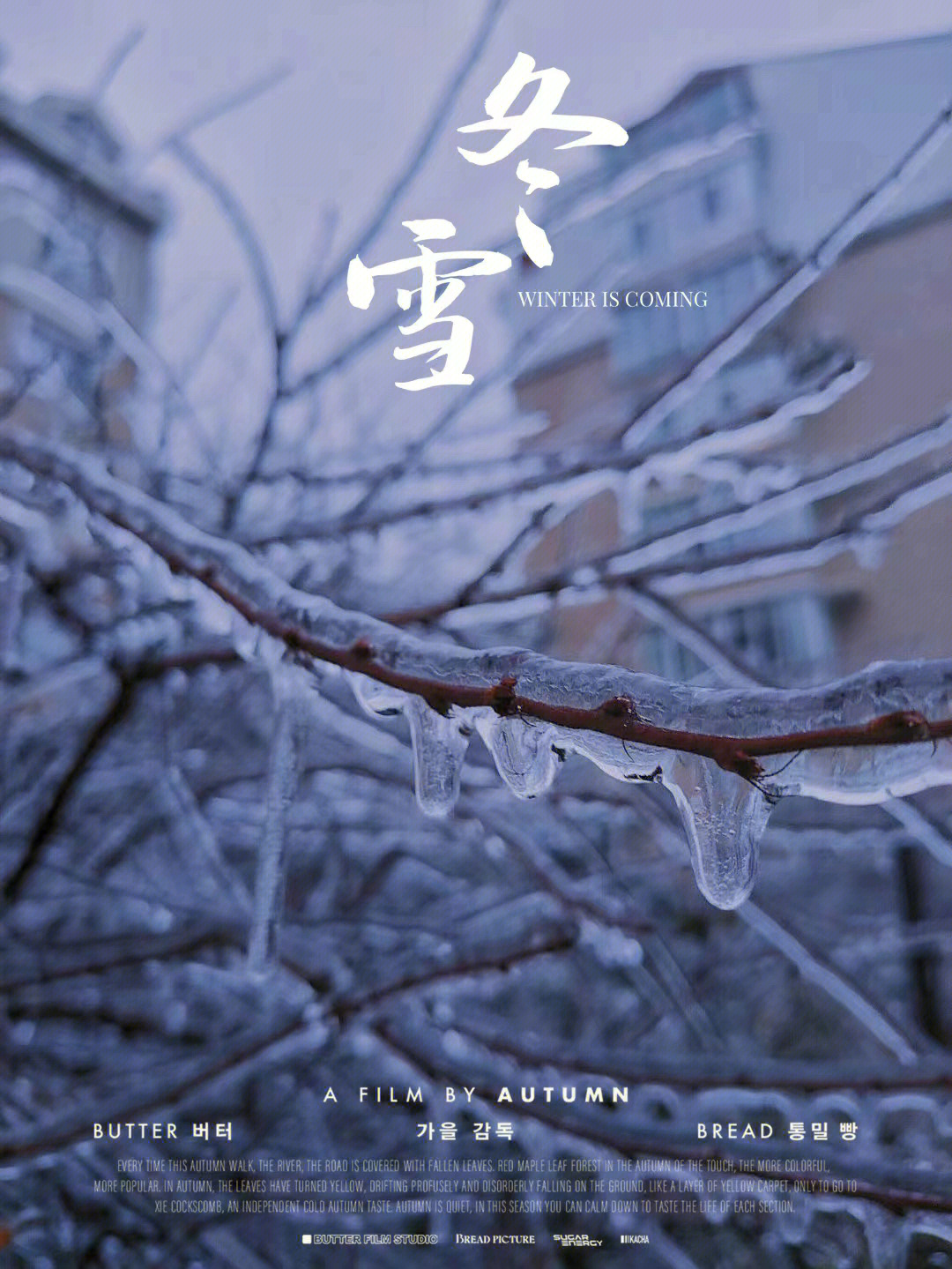 第一场雪图片文字图片