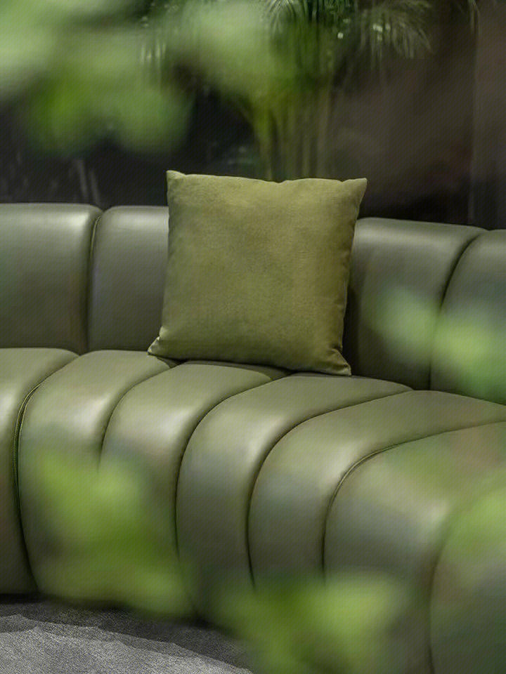 橄榄绿色沙发搭配图片图片