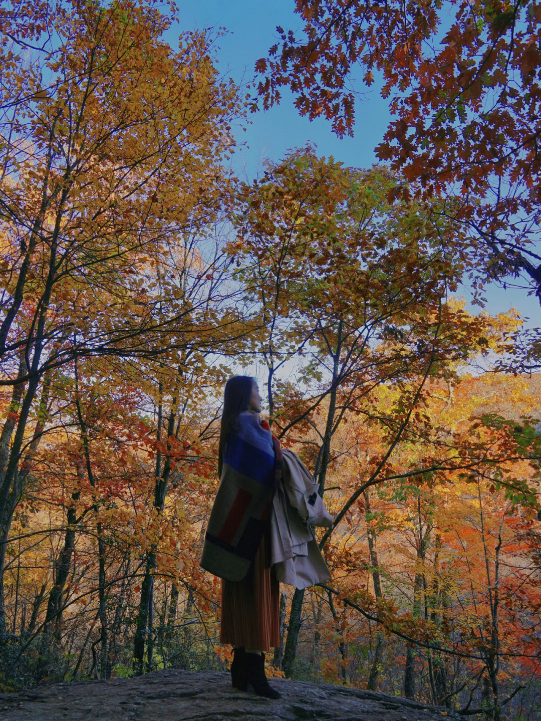 秋游仙纳度shenandoahnationalpark