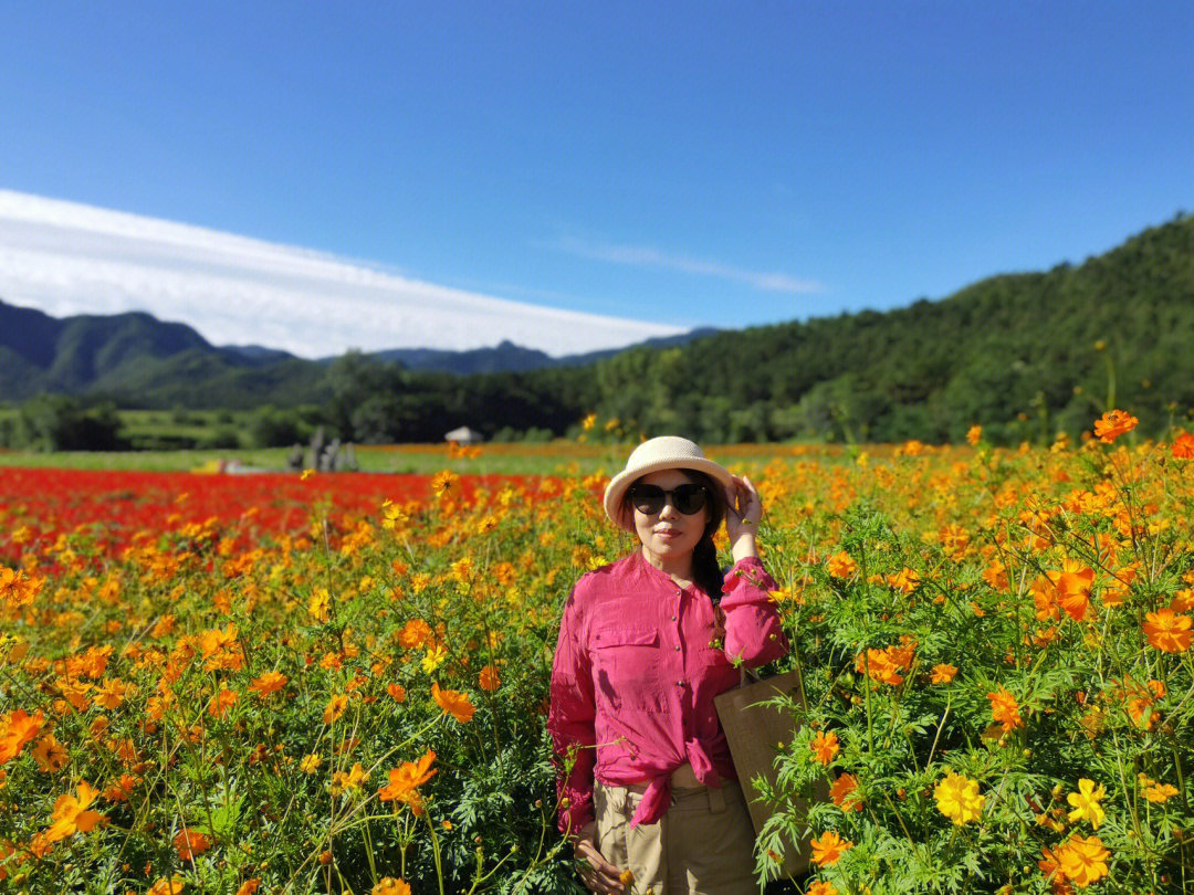 延庆四季花海几月开花图片