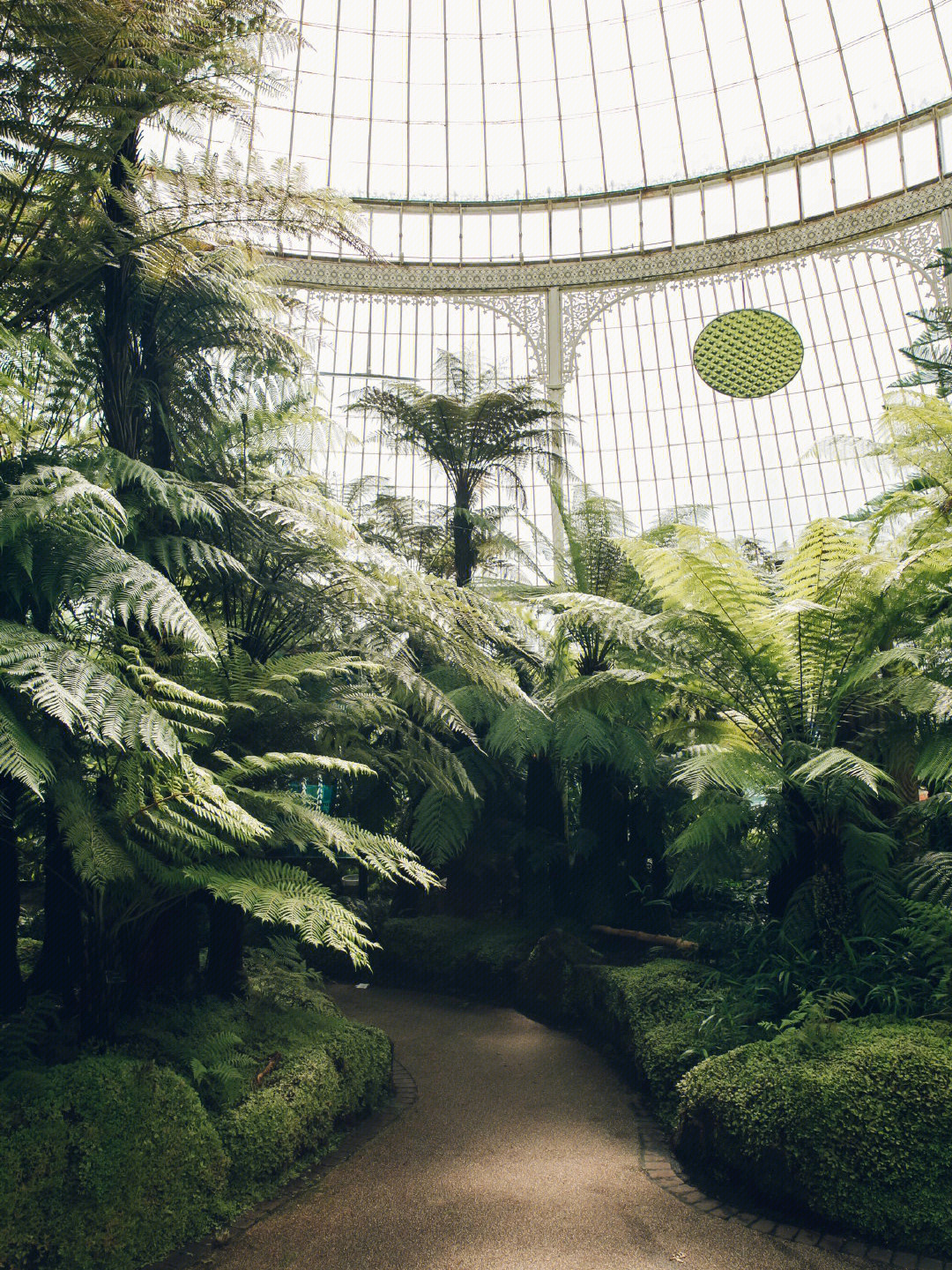 国外著名植物园图片