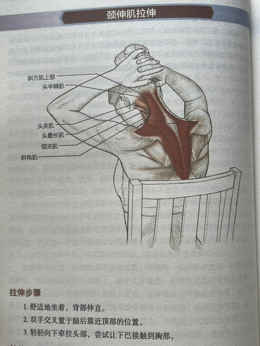 颈椎拉筋方法图解图片