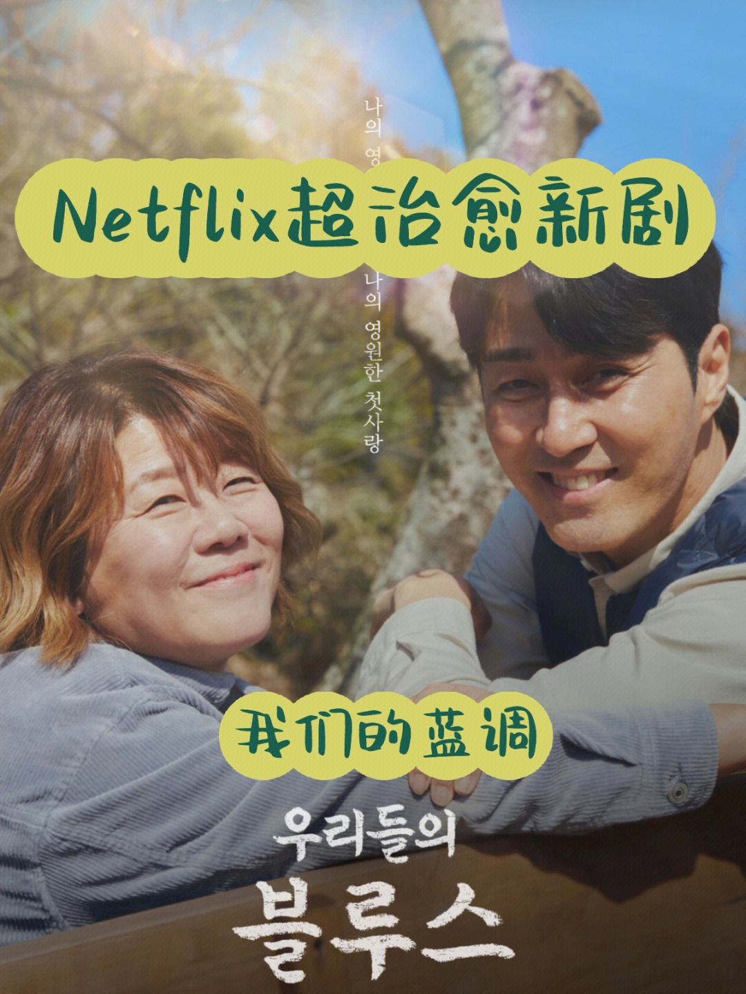 netflix新剧推荐我们的蓝调