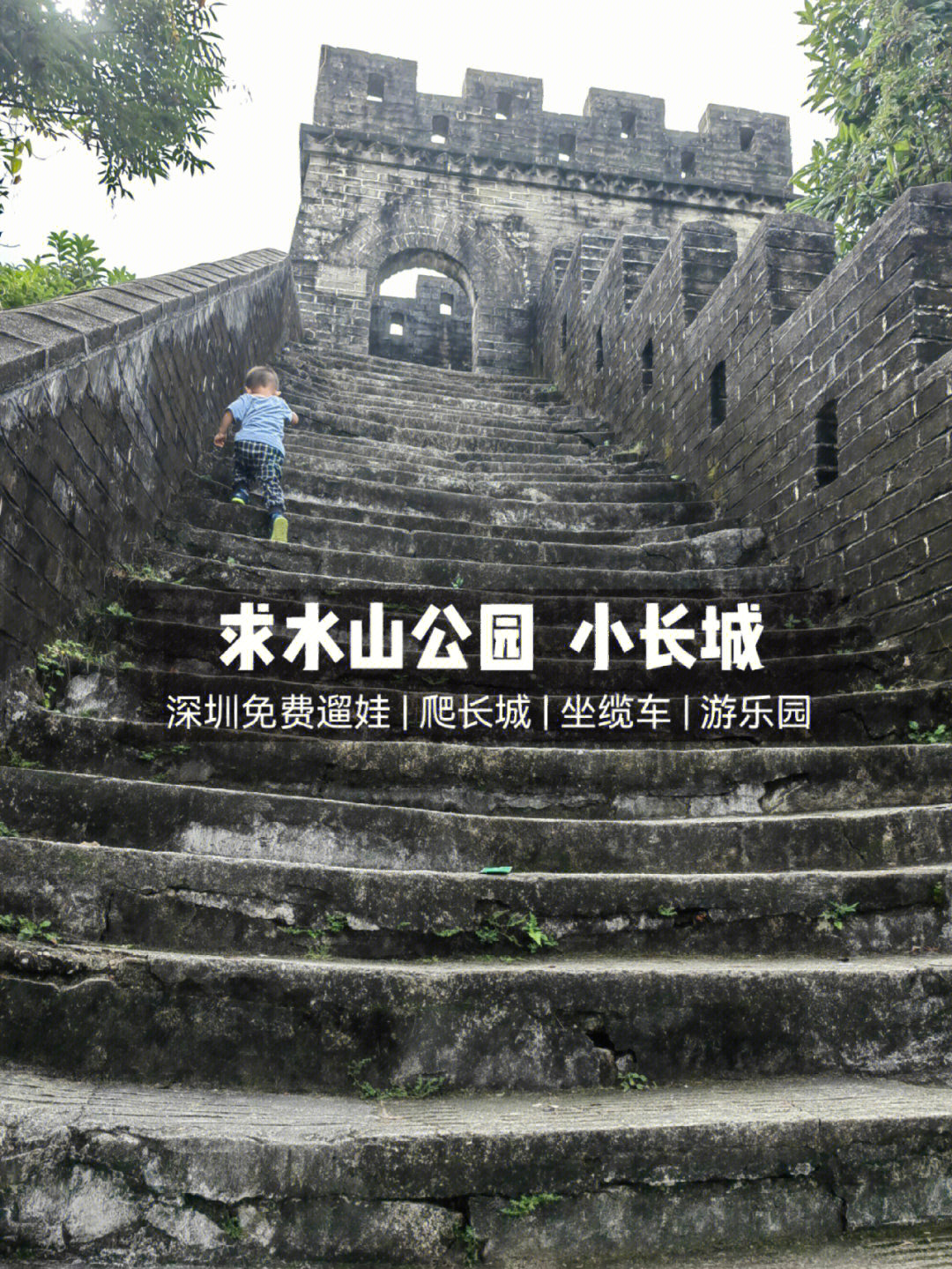 深圳免费遛娃求水山公园爬小长城坐缆车游