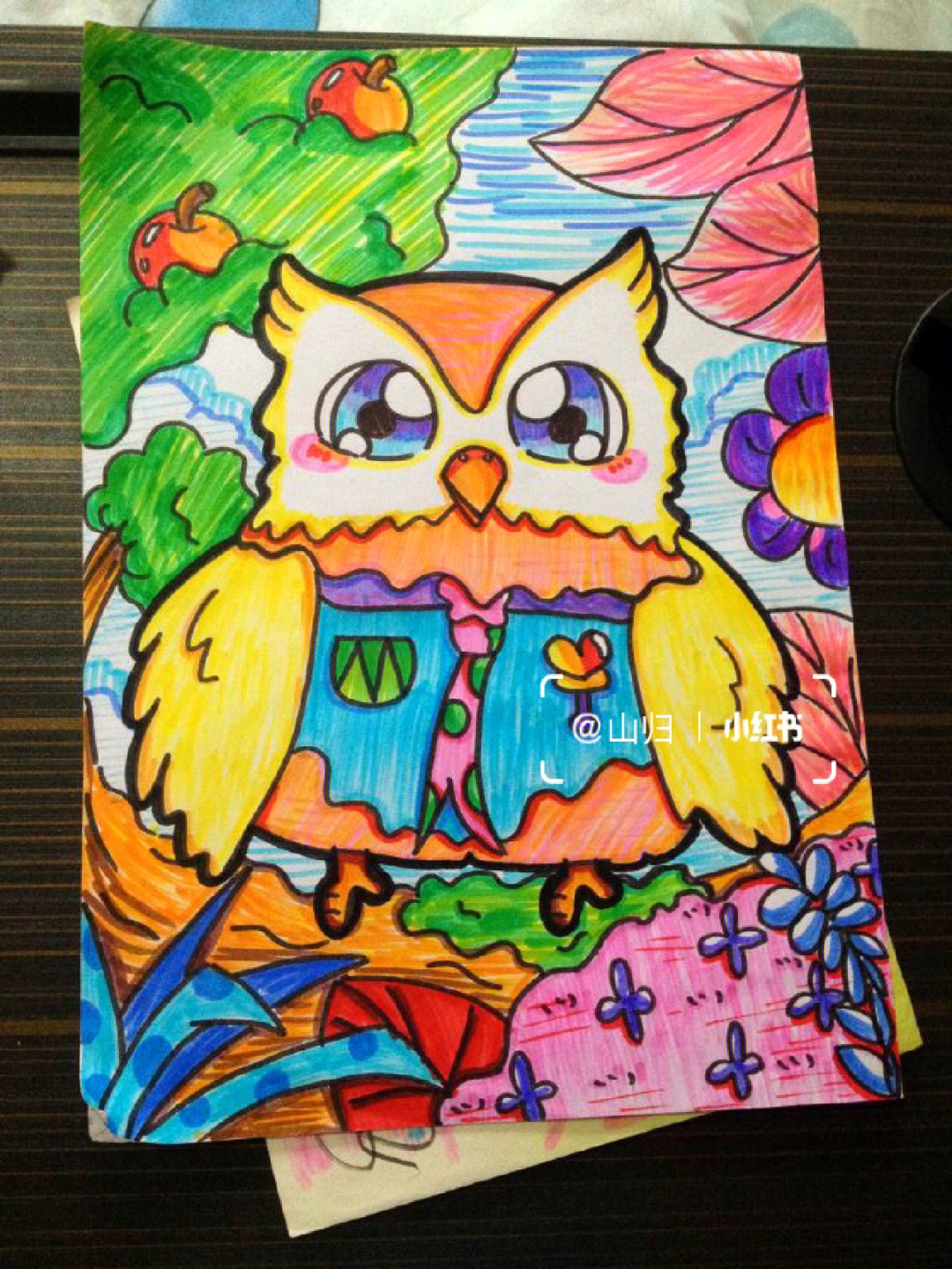 儿童猫头鹰简笔画彩色图片