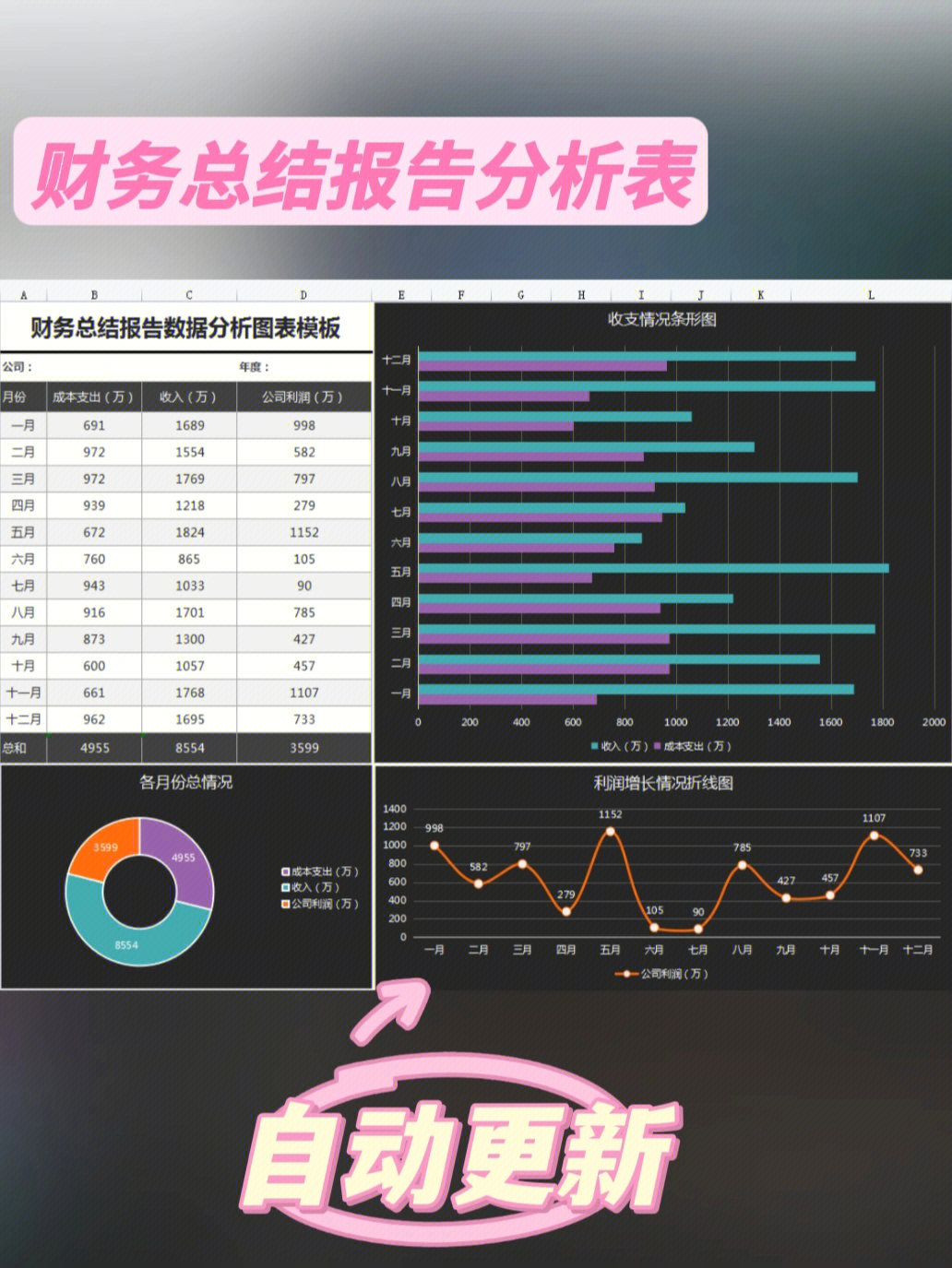 普华可视化图表模板财务分析常用75