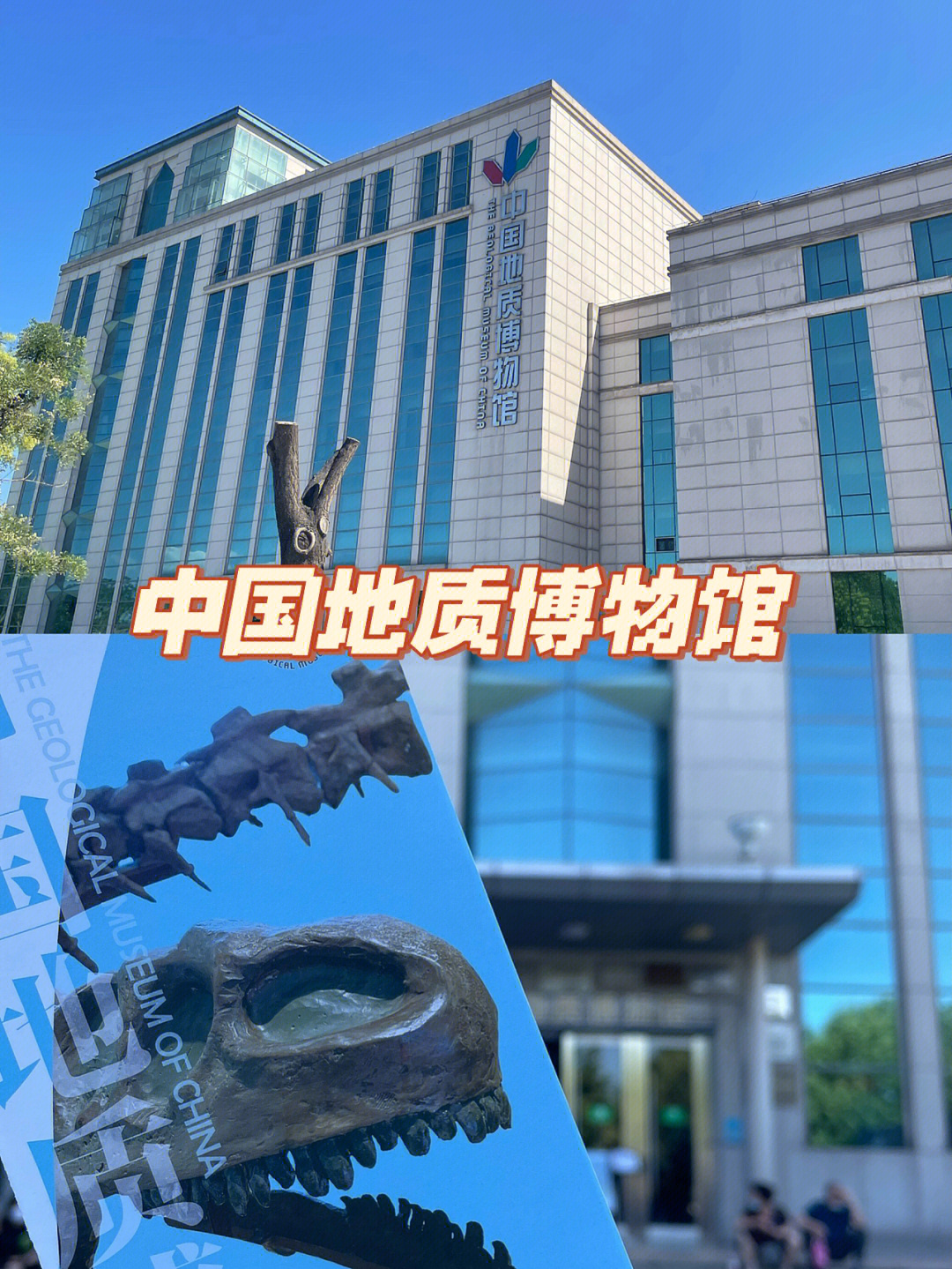 北京游玩博物馆中国地质博物馆