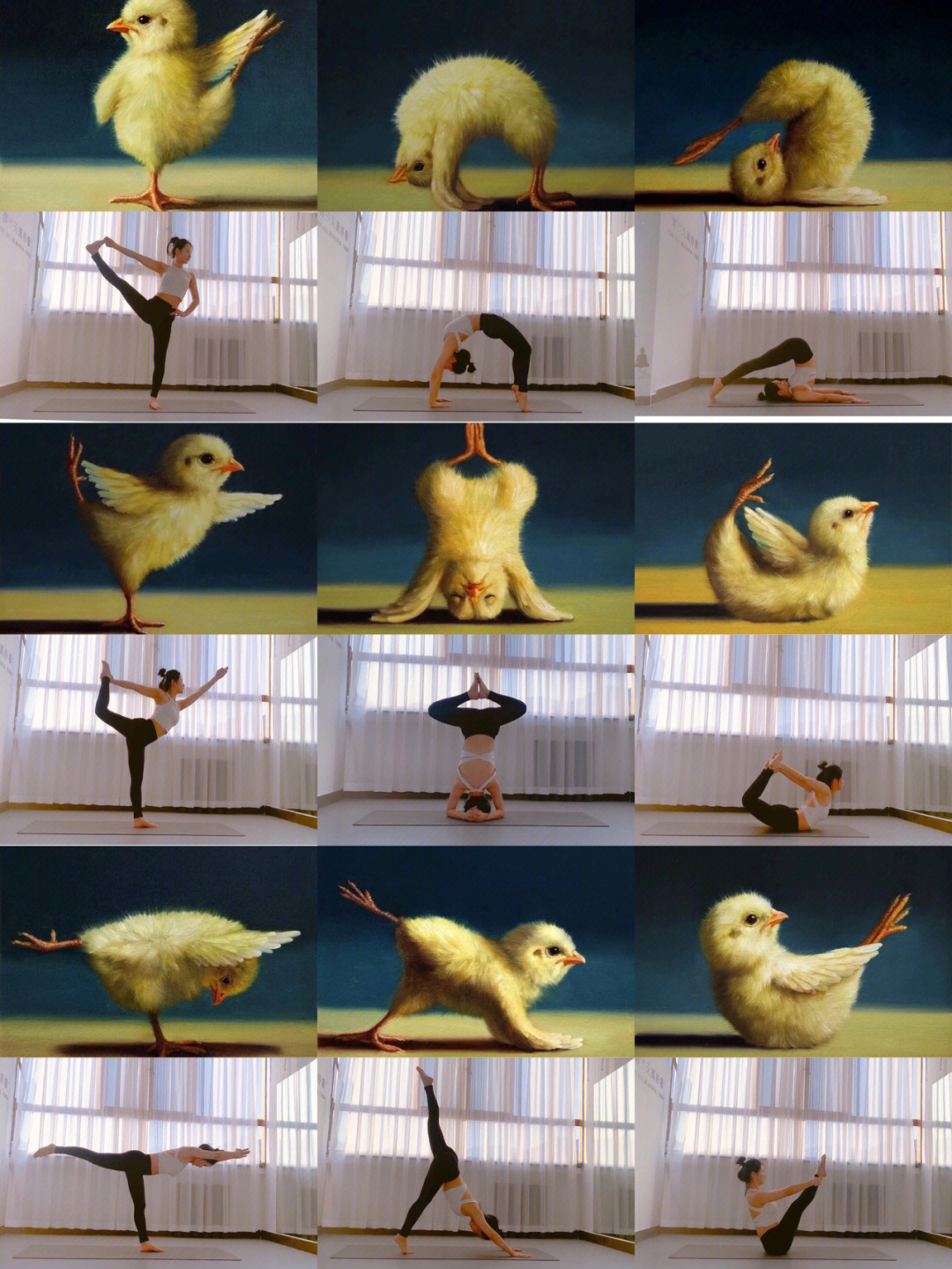 瑜伽小黄鸡九个图图片
