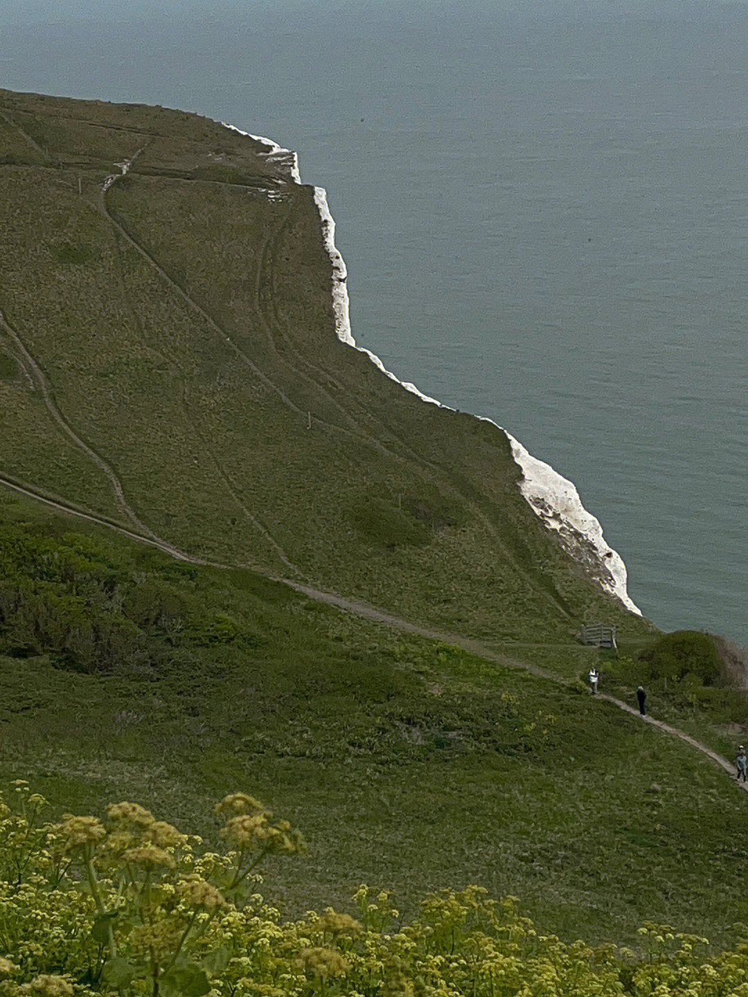 cliffs in england 