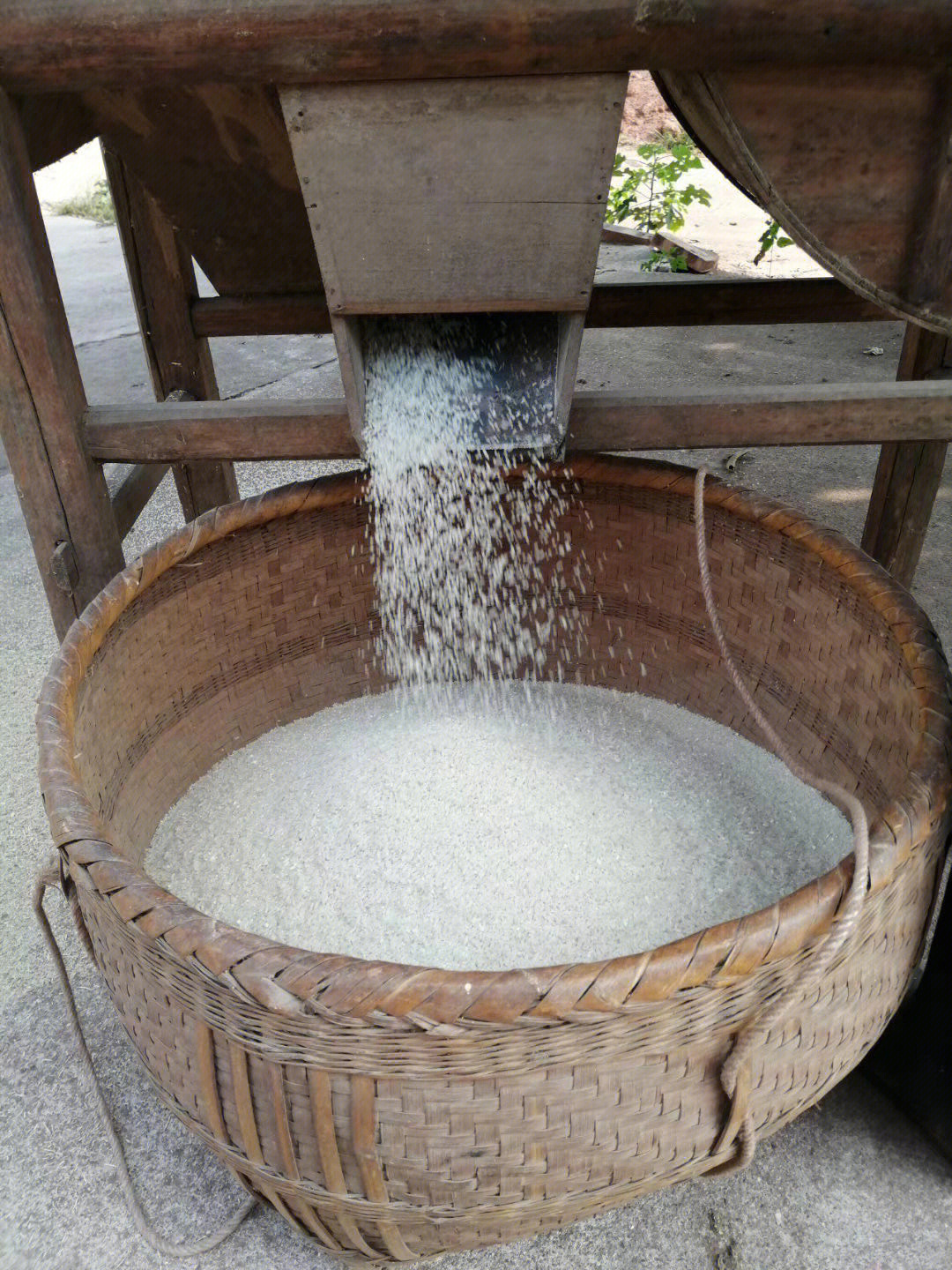 今天做米粉
