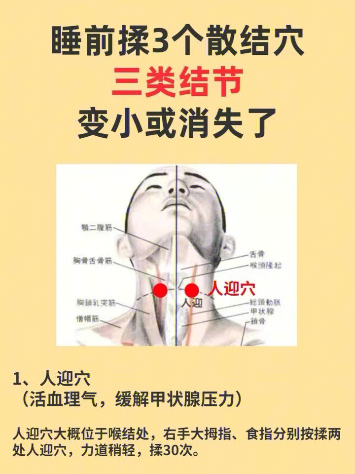 杨奕按摩甲状腺反射区图片