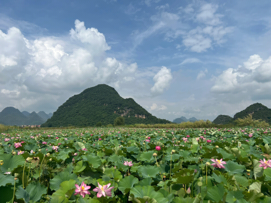 普者黑旅游笔记