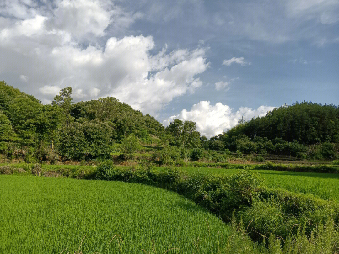 乡村风景