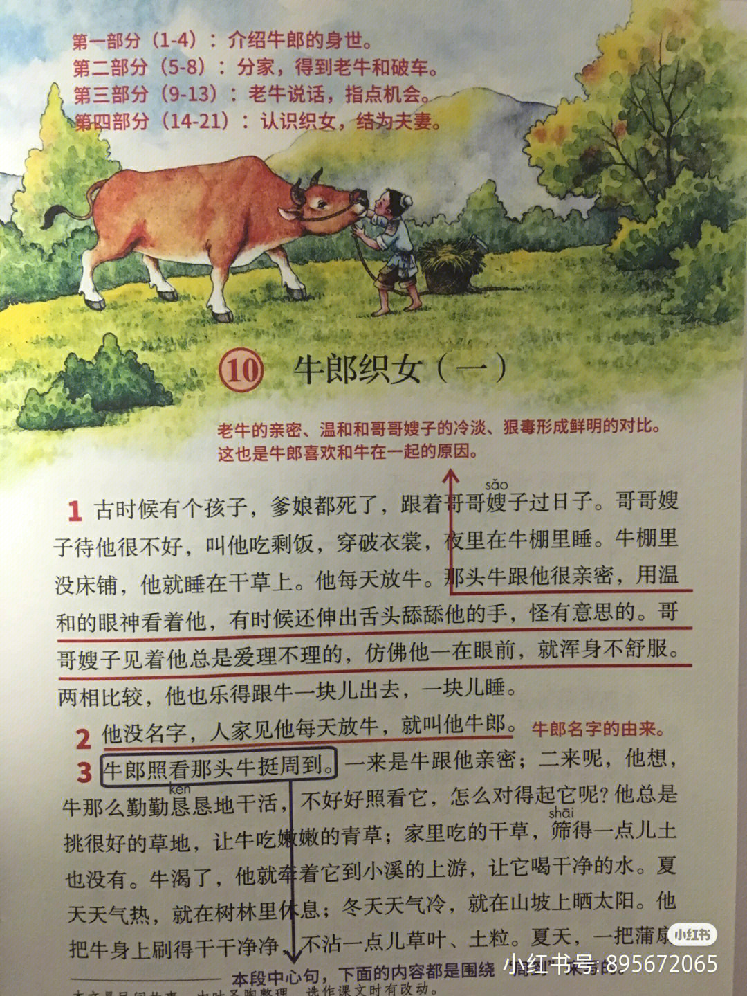 牛郎织女的故事 100字图片