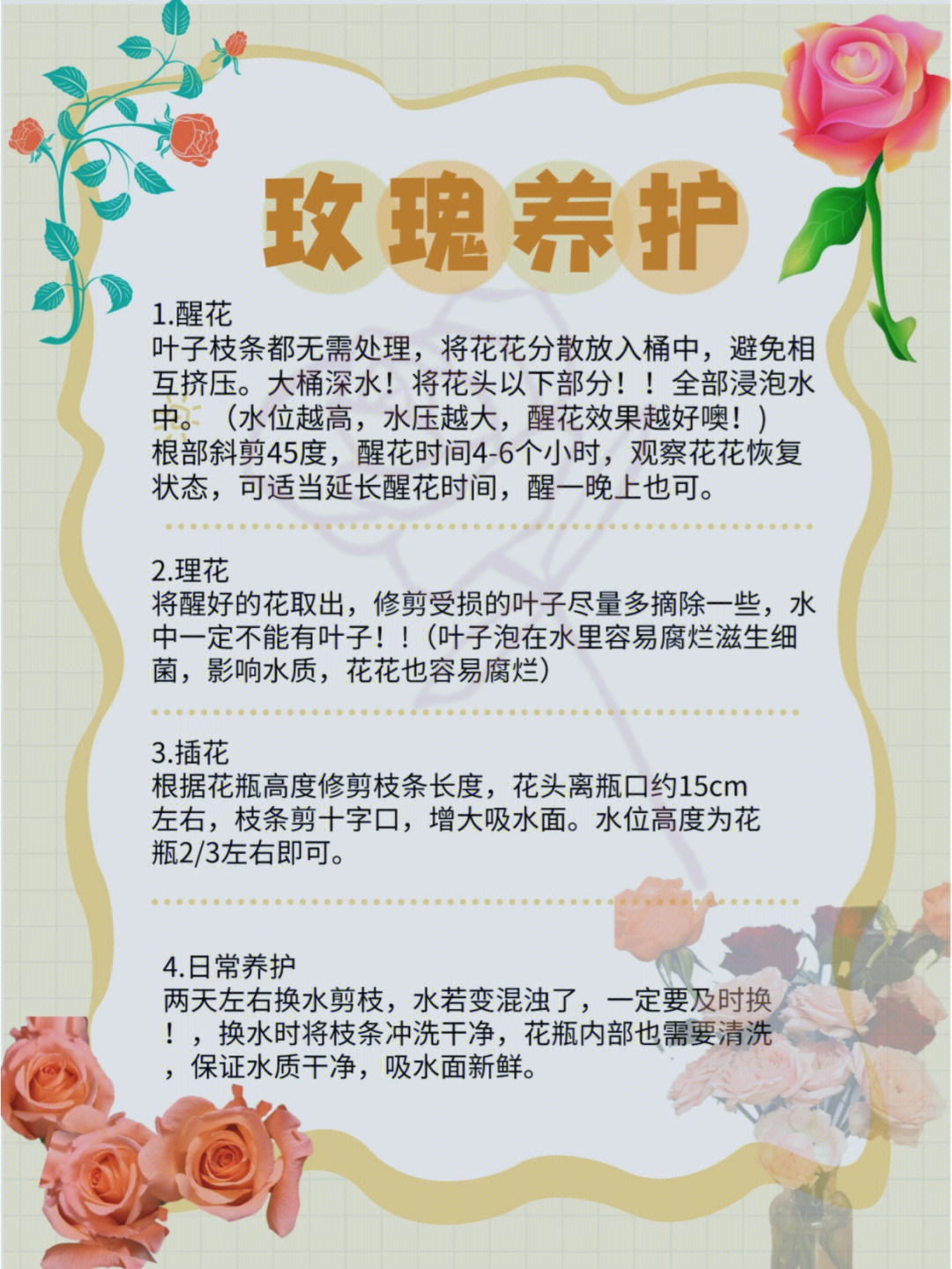 玫瑰花的特点方法图片