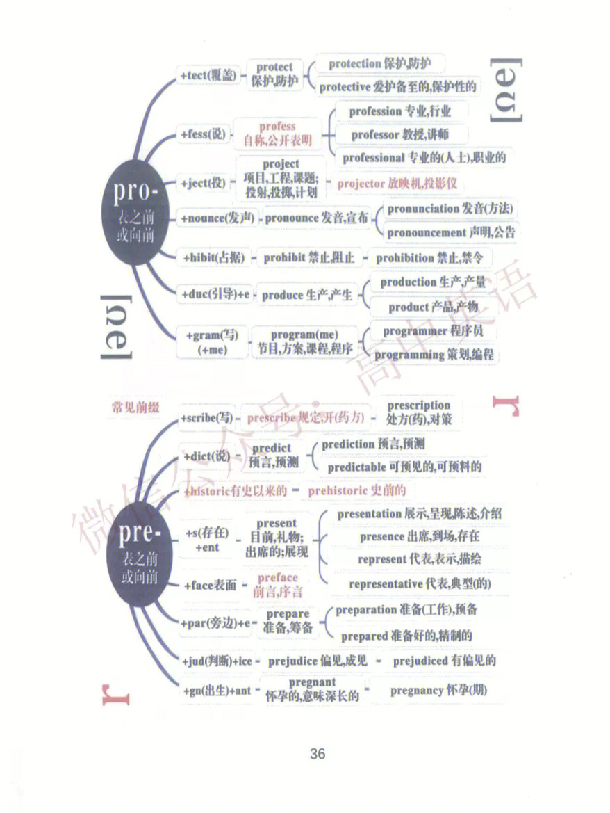 2022届高考必背3500词思维导图版5