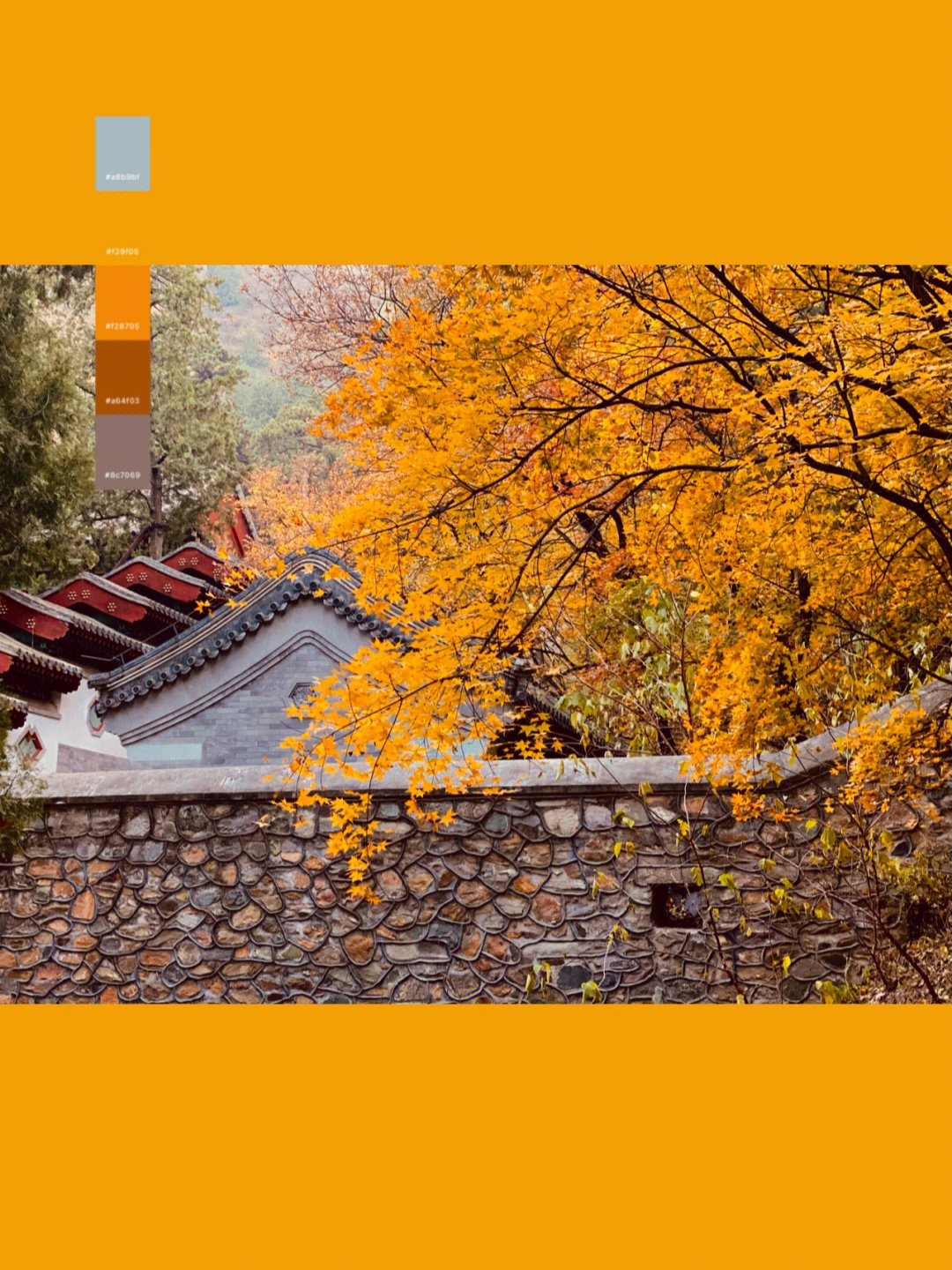 秋天的香山公园三年级图片